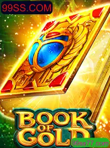 Descubra as Aventuras e Regras do Jogo BookofGold